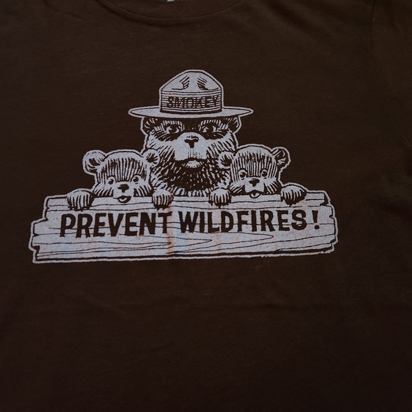 Smokey Bear Prevent Wildfires Graphic Tee T-Shirt Brown Medium - Picture 2 of 7